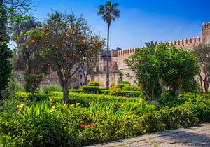 Garten in Rabat, Marokko