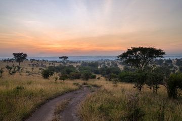 Sonnenaufgang in Uganda