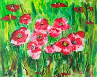 Field poppies in green nature