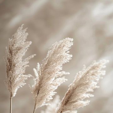 Pampas grass by Poster Art Shop