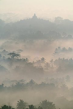 Borobudur in de ochtend mist (vertikaal) van Anges van der Logt