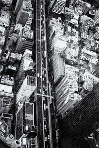TOKIO V