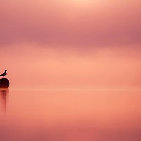 Empty Spaces - Meeuw silhouet met zonsopkomst van Roeselien Raimond