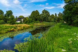 Grüne Oase bei IJlst - Wasserreiches Friesland in Sommerpracht von Franklin Driessen
