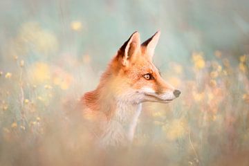 Fox Bouquet by Roeselien Raimond