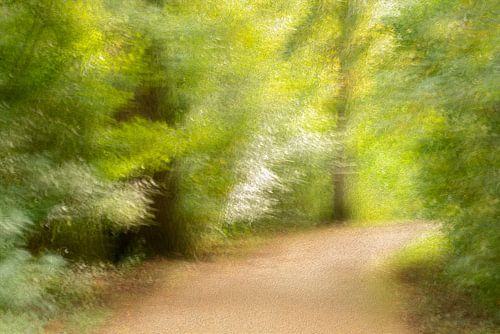 Where does that path lead? (2)