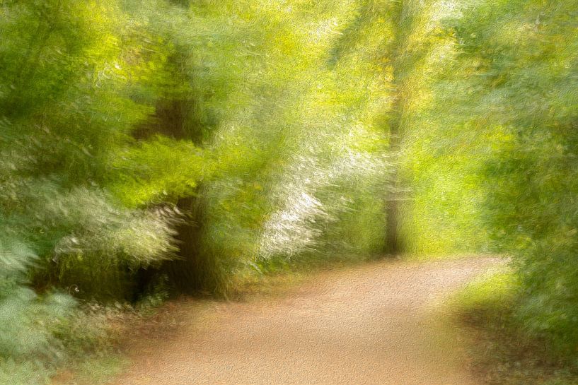 Where does that path lead? (2) by JanfolkerT Muizelaar