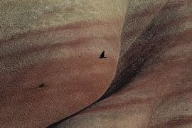 Painted Hills in the John Day Fossil Beds National Monument at Mitchell City, Wheeler County, Northe by Frank Fichtmüller