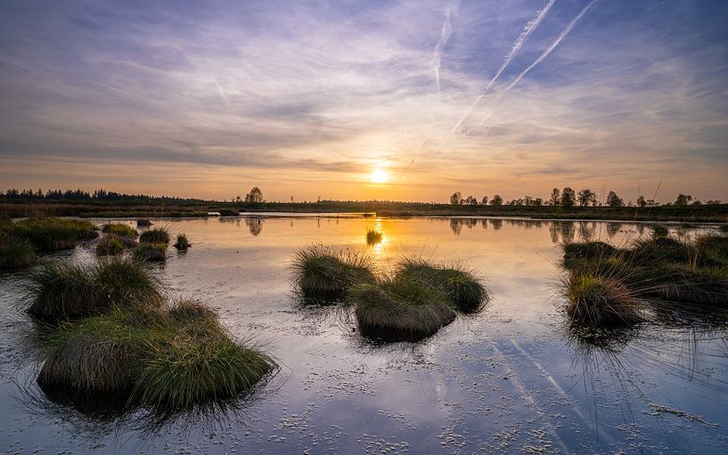 Brackvenn, High Fens, Belgium by Alexander Ludwig