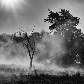 Nebel von Hans Bronk
