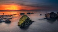 Rocks in the sea with setting sun