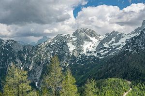 Blick auf das Grintovec-Gebirge von Goli vrh aus