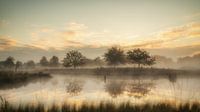Les arbres dans la brume du matin par Lex Schulte Aperçu