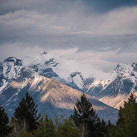 Canadian Rocky mountains van Alex Verweij