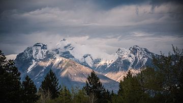 Canadian Rocky mountains van Alex Verweij