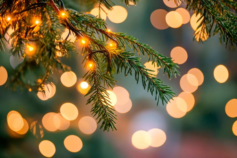 Fir branches with lights by Poster Art Shop