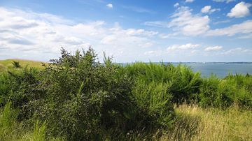 Landschap in Denemarken van Bo Valentino