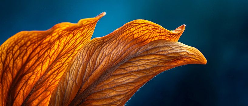 Natuur in detail van Poster Art Shop