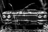 Cadillac - klassieke auto van Stephan Zaun thumbnail