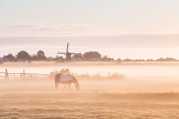 Pferd im Nebel mit De Koker im Hintergrund in Wormer von Pieter Struiksma