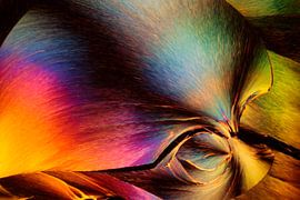 Salmeterol by André Wieringa