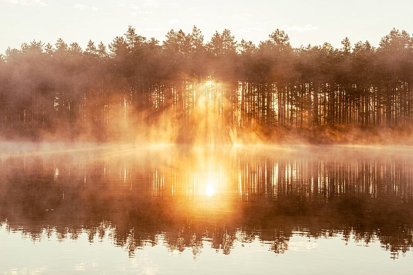 Finnland, goldener Morgennebel von Yanuschka | Fotografie Noordwijk
