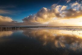 Winter Winds von Thom Brouwer