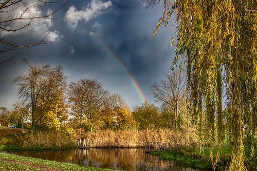 Regenboog boven het park
