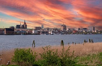 Panorama van de stad Rostock in Duitsland van Animaflora PicsStock