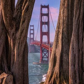 Golden Gate Bridge, San Francisco by Photo Wall Decoration