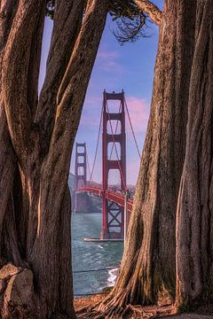 Golden Gate Bridge, San Francisco van Photo Wall Decoration