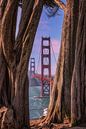 Pont du Golden Gate, San Francisco par Photo Wall Decoration Aperçu