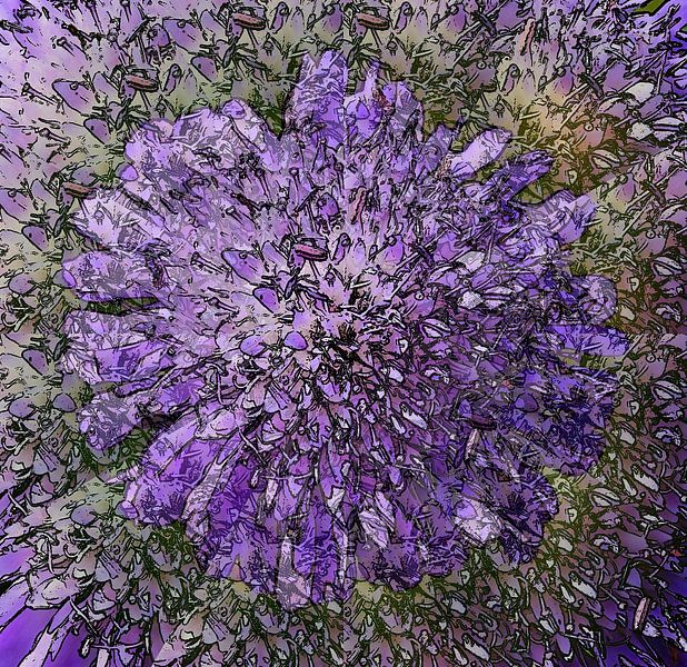 L'illusion de l'herbe à pigeon par Jose Lok