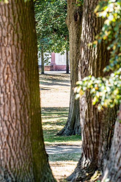Vues du parc par Thomas Riess