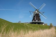 Windmolen, Pellworm, Noord-Friesland, Duitsland van Alexander Ludwig thumbnail