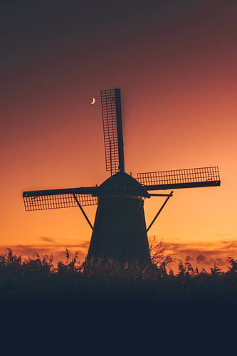 Sonnenuntergang zwischen den Mühlen