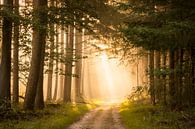 Sunrise - landschap van Studio Caro West thumbnail