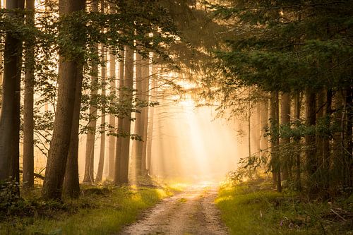 Lever de soleil - paysage sur Studio Caro West