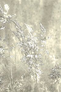 Grassen in het Grasland 3. Digital Art. Minimalisme