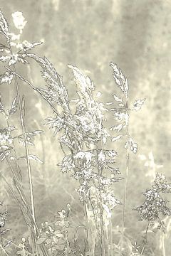 Grassen in het Grasland 3. Digital Art. Minimalisme van Alie Ekkelenkamp
