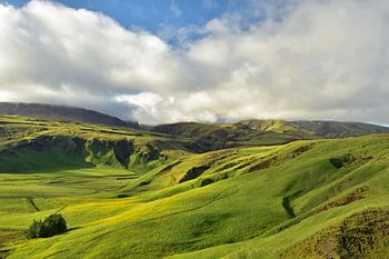 Green valley in Iceland