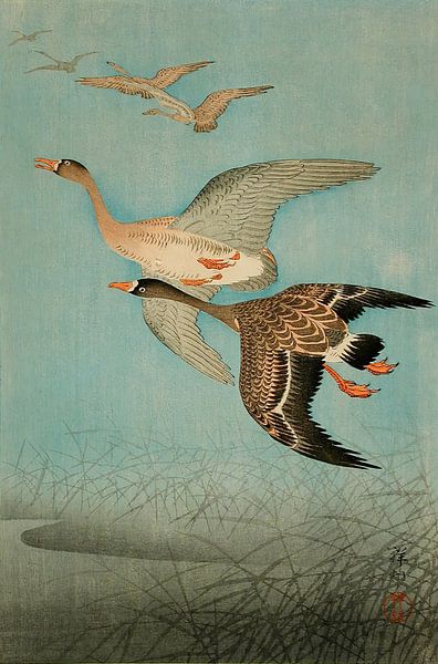 Ohara Koson - Flying Geese (edited) by Peter Balan