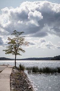Finlande