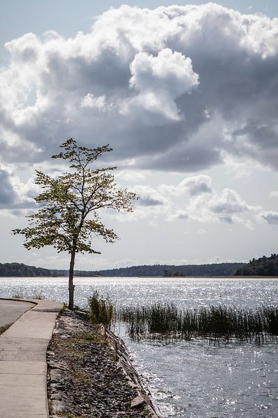 Finland by Eric van Nieuwland