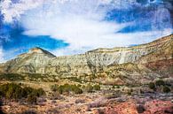 Veelkleurig woestijnlandschap in Colorado, VS van Rietje Bulthuis thumbnail