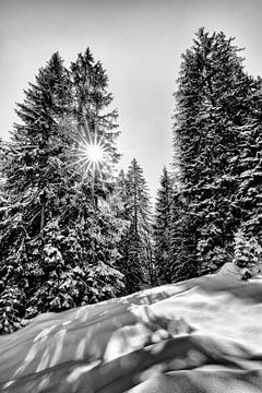 Winterlandschap in direct tegenlicht van Heiko Meier