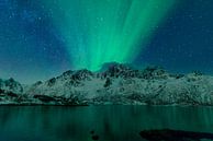 Noorderlicht boven het Austnes fjord in Noorwegen van Sjoerd van der Wal Fotografie thumbnail