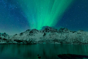 Nordlichter, Polarlicht oder Aurora Borealis im nächtlichen Himmel über den Lofoten Inseln in Nordno