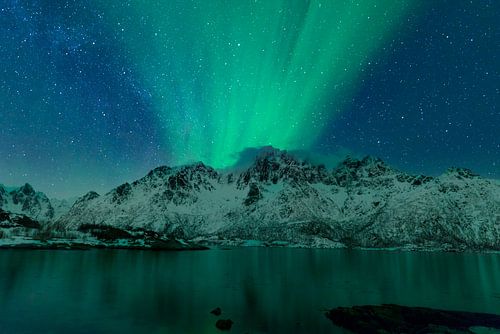 Aurores boréales au-dessus des îles Lofoten en Norvège