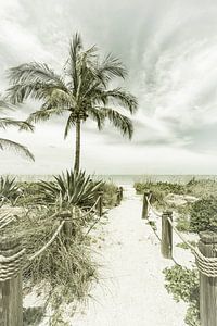 Weg zum Strand | Vintage